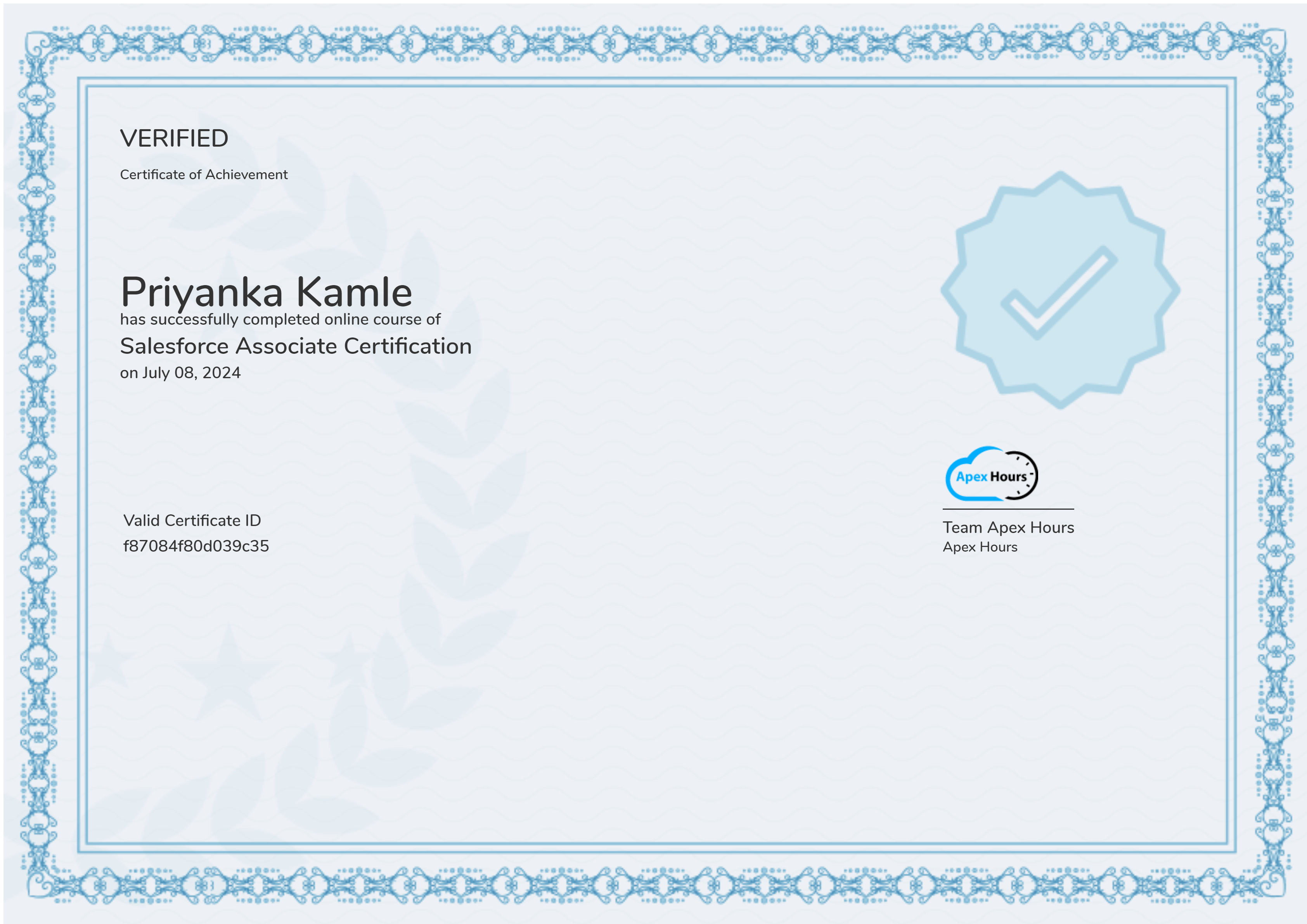 Salesforce Associate Certification