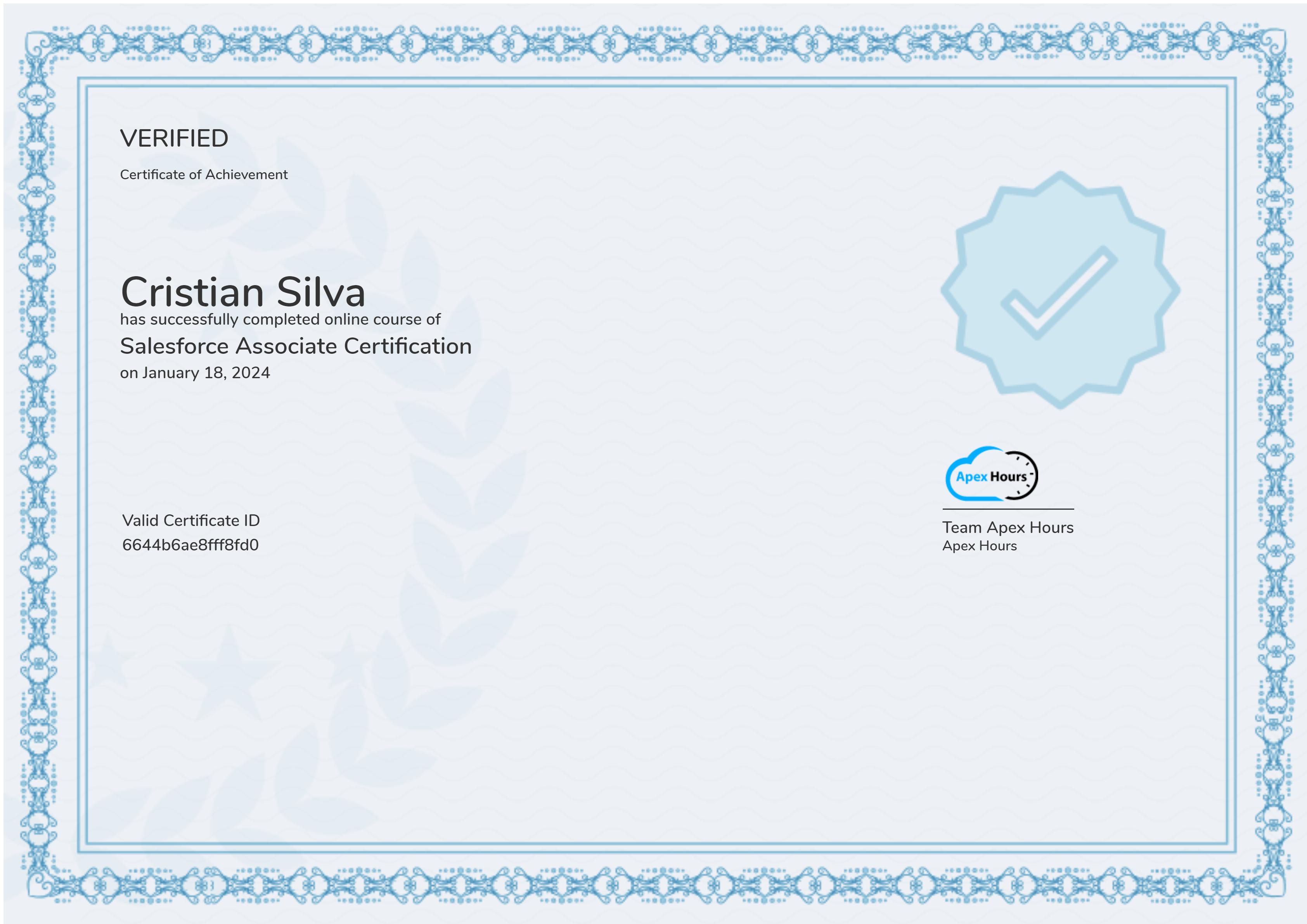 Salesforce Associate Certification