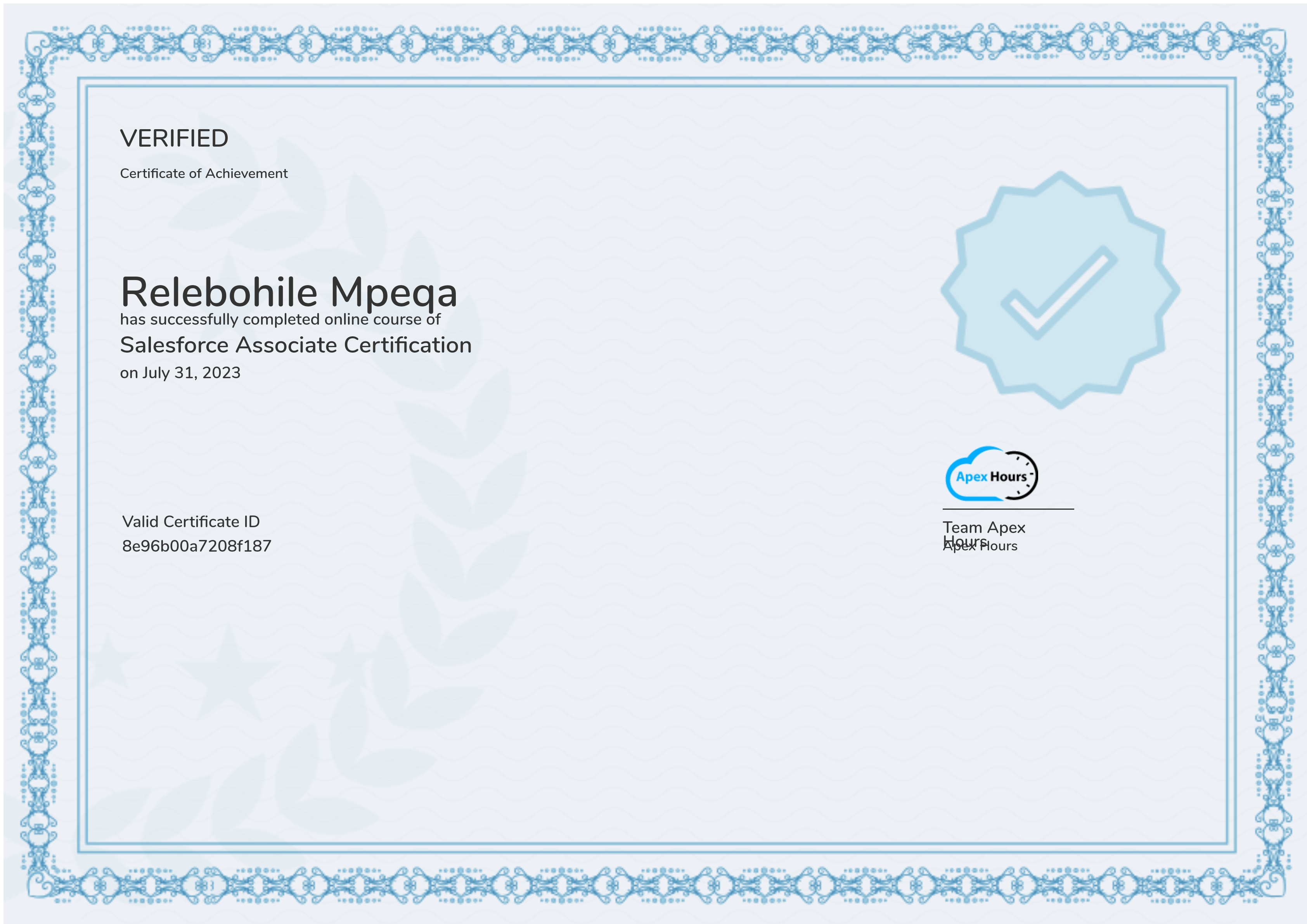 Salesforce Associate Certification