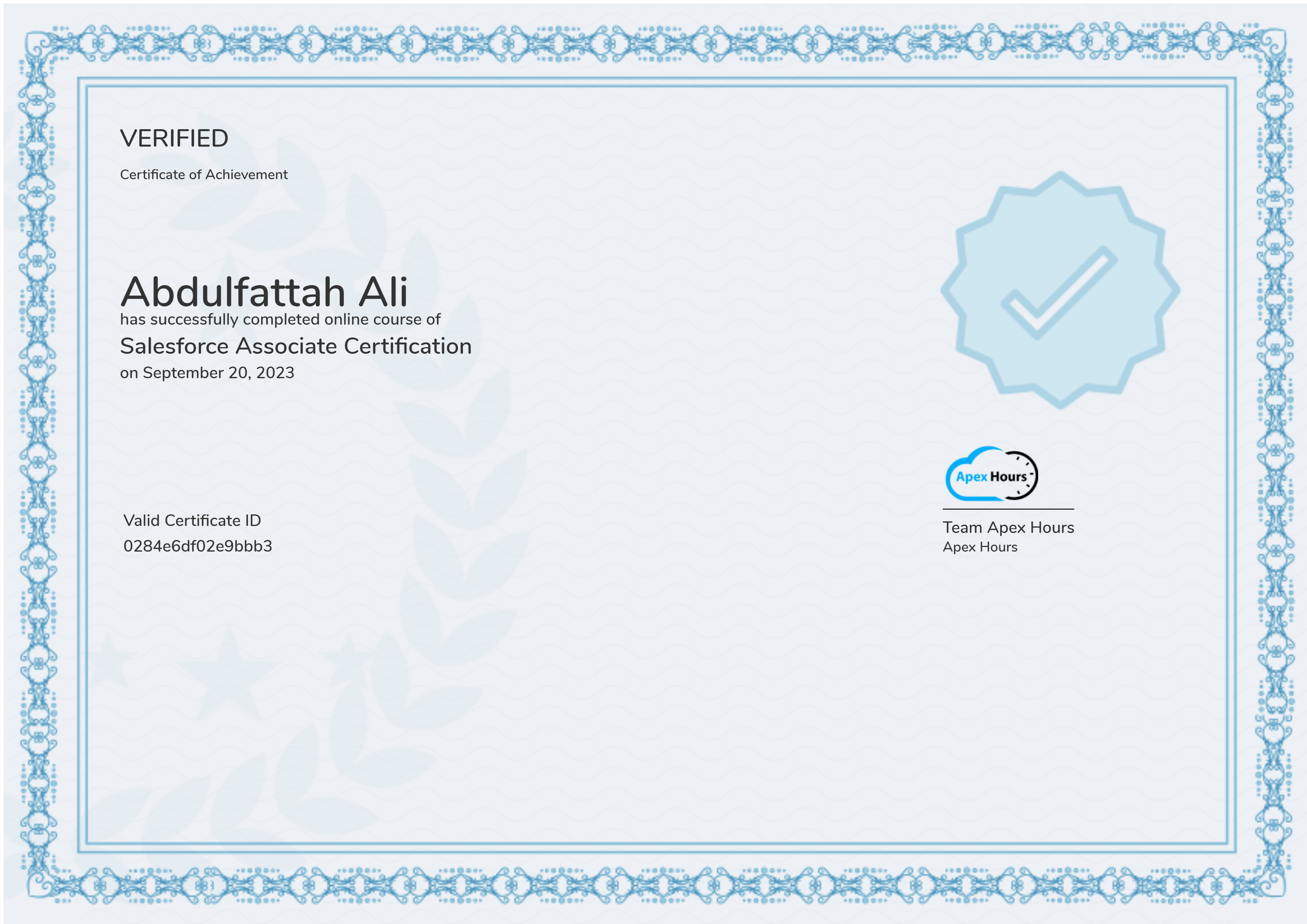Salesforce Associate Certification