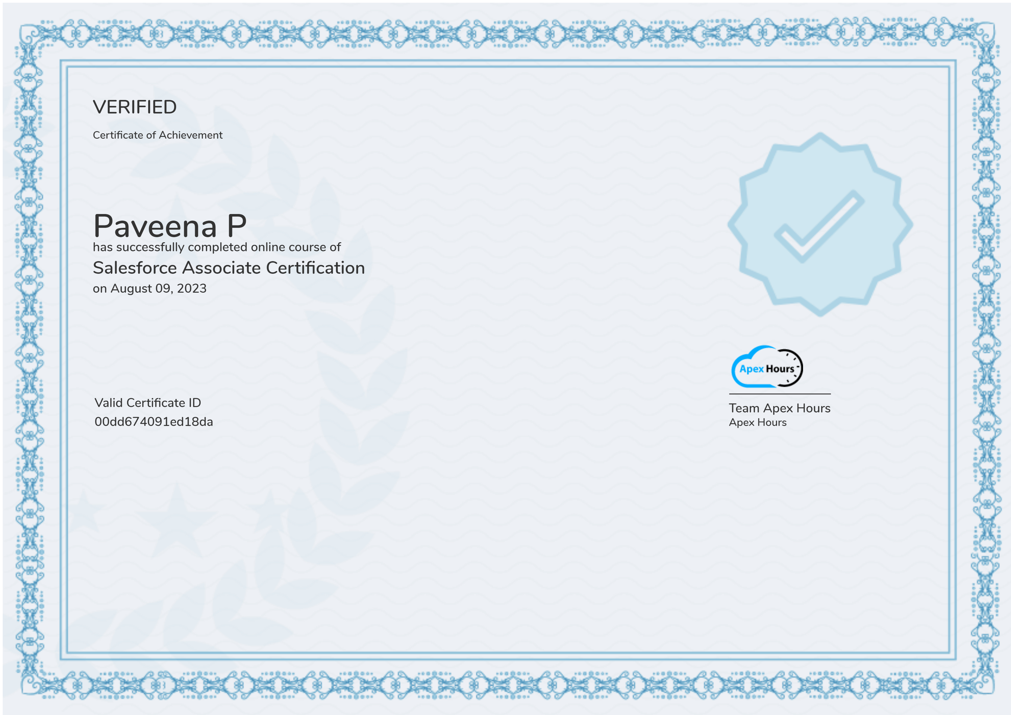 Salesforce Associate Certification