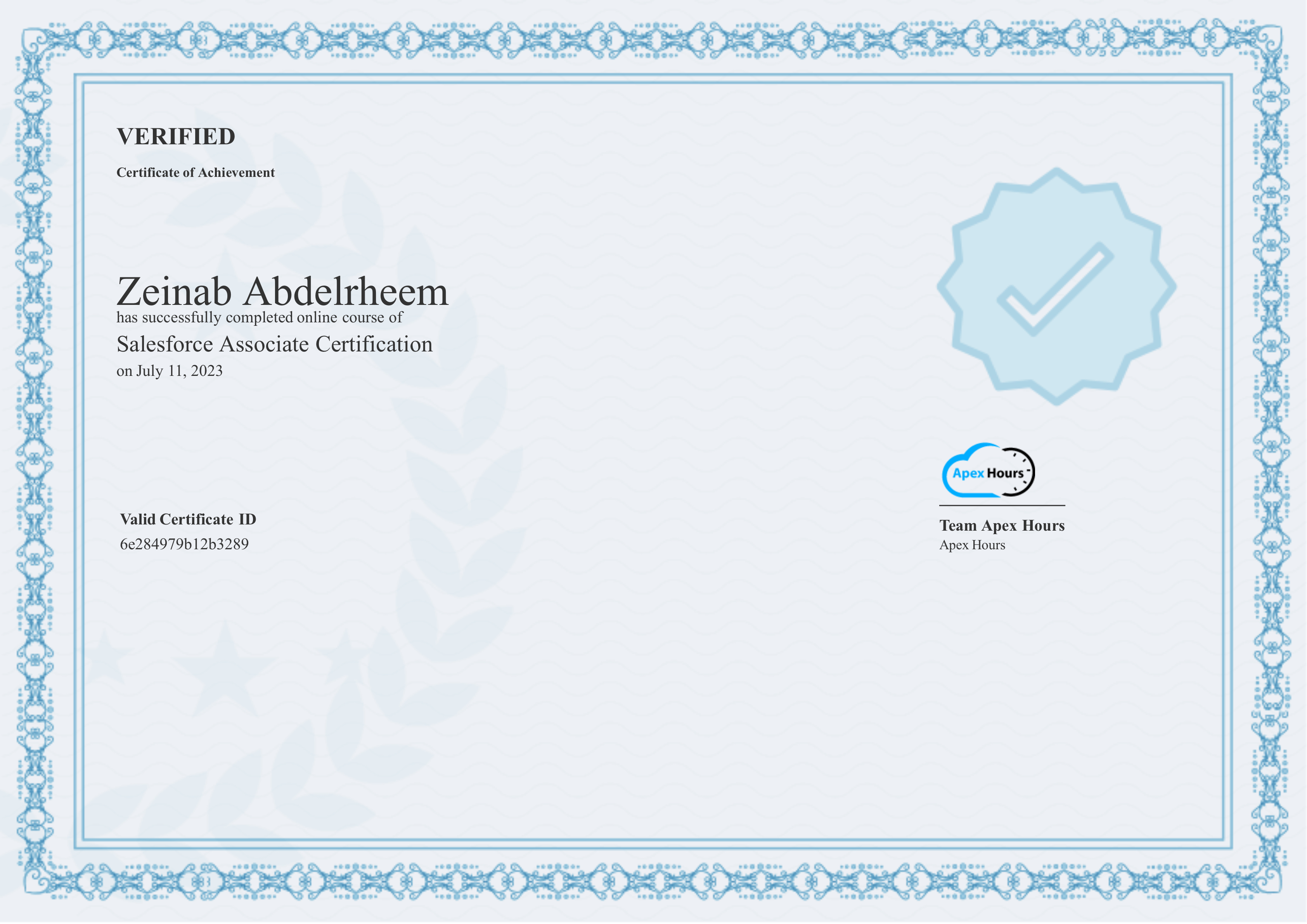 Salesforce Associate Certification