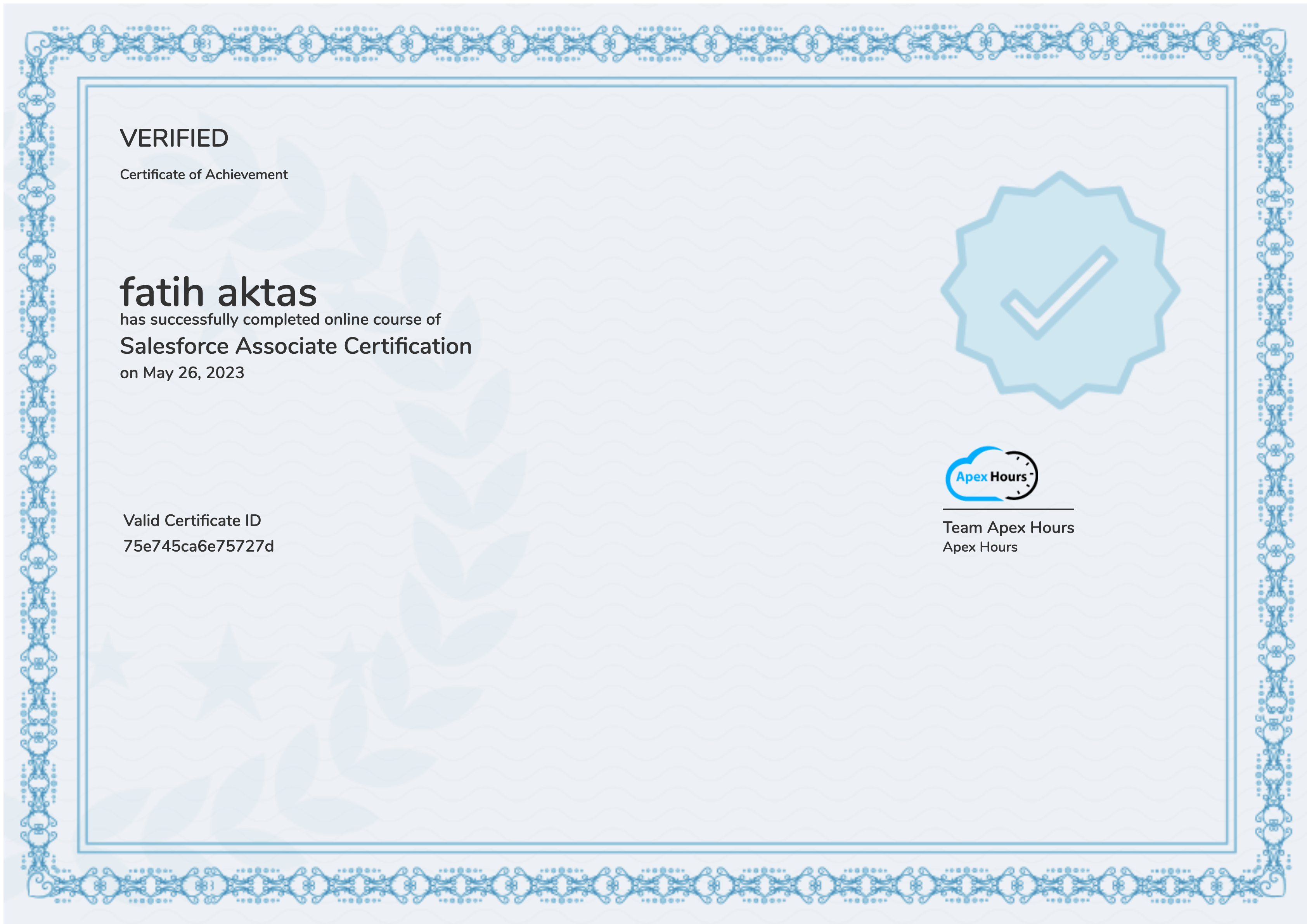 Salesforce Associate Certification